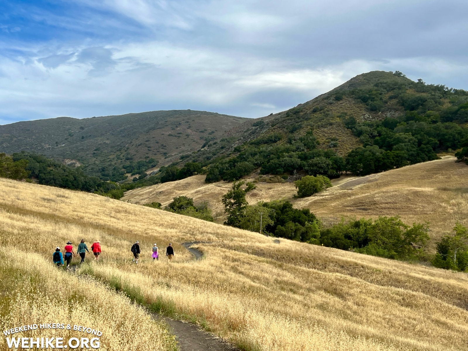 Johnson Ranch