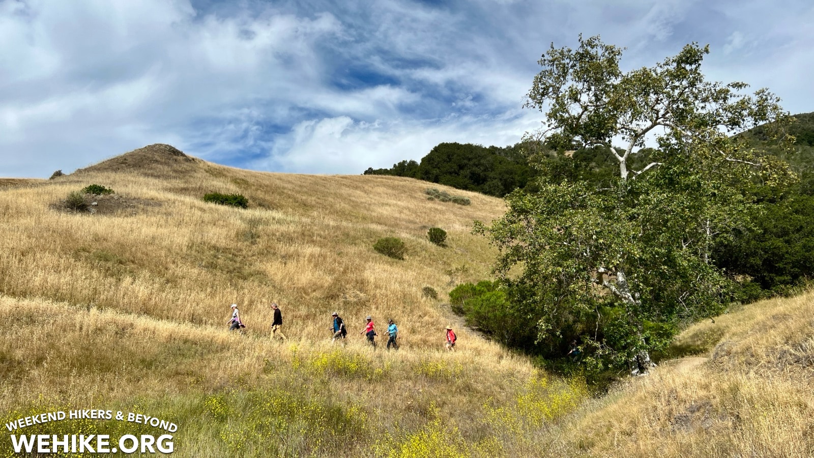 Johnson Ranch