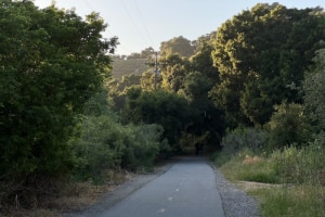 Bob Jones trail