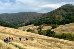 Johnson Ranch